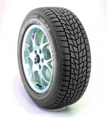 Bild von Bridgestone Blizzak LM22