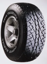 Toyo Tranpath